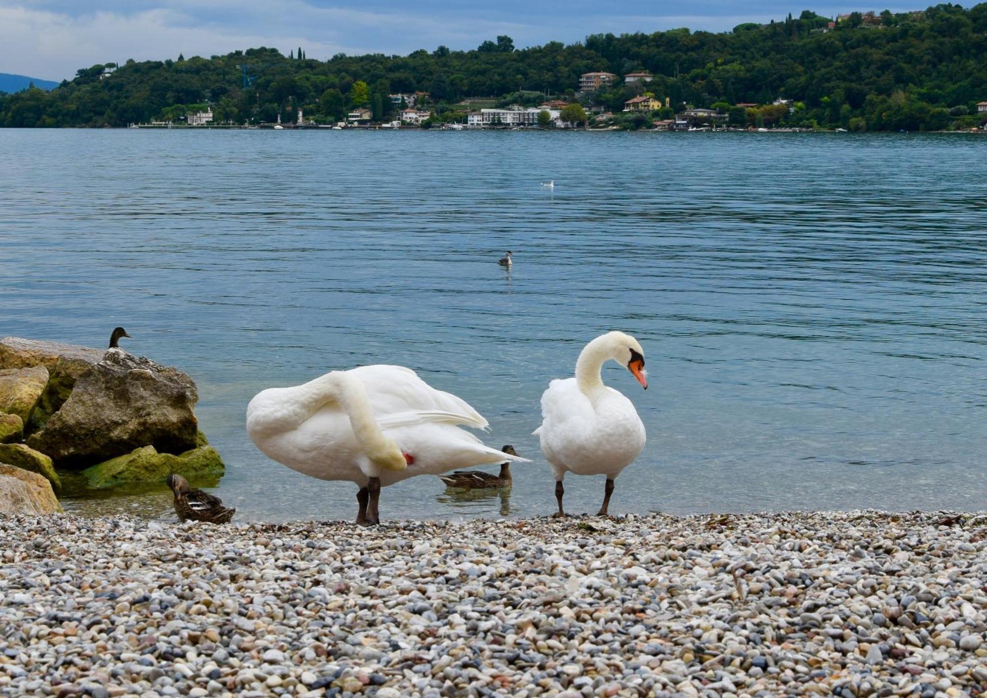 Villa Donne Del Lago Vittoria Salo Luaran gambar